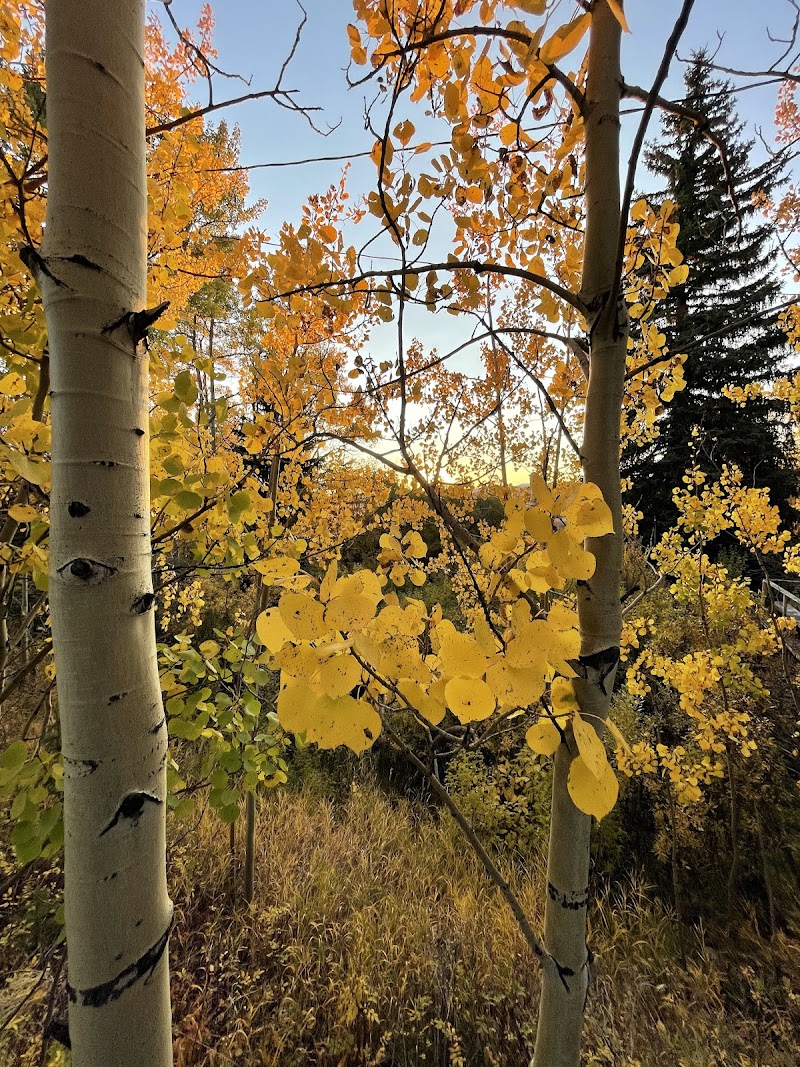 Absaroka Ranch - Photo 5