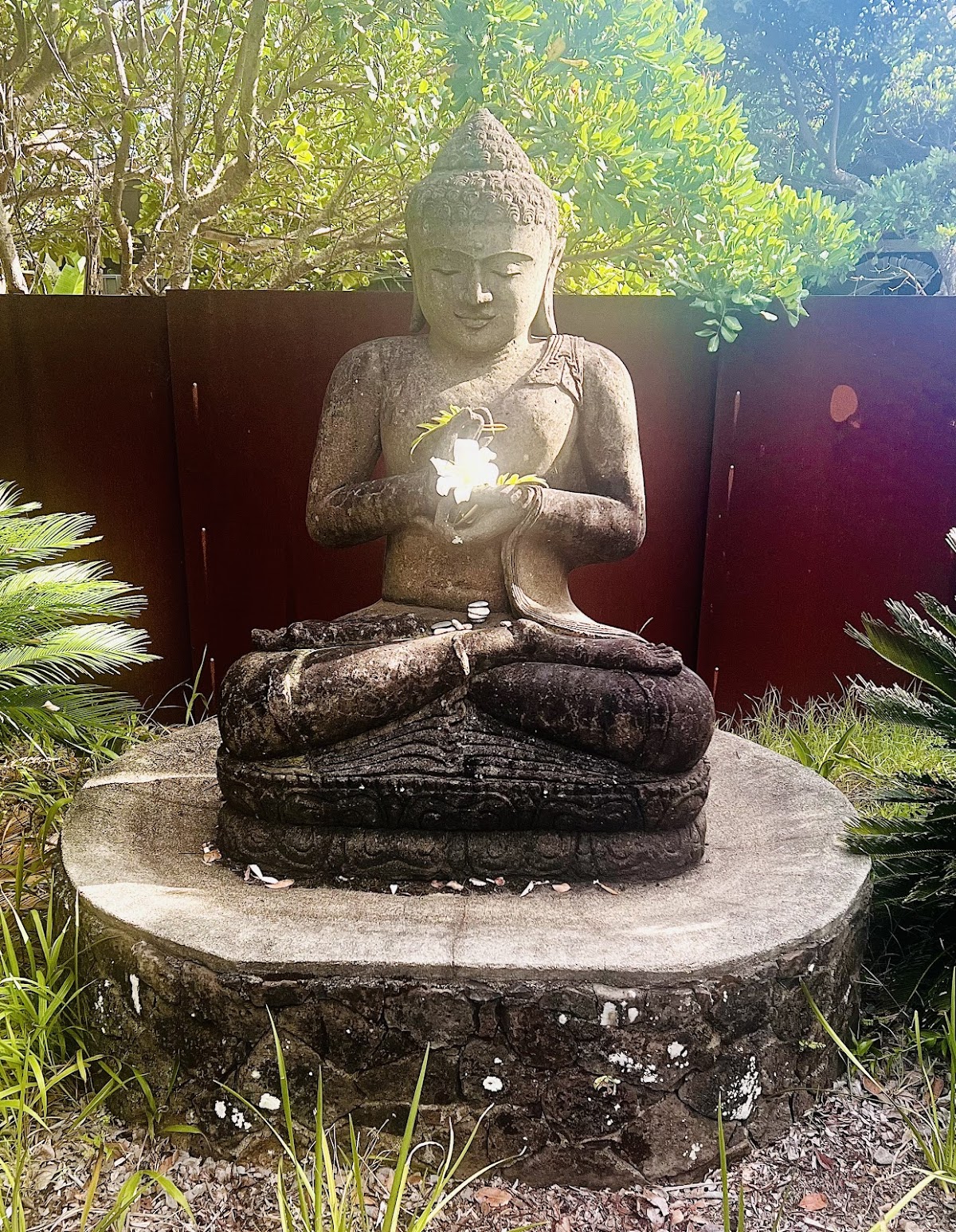 Byron Bay Retreats — 4