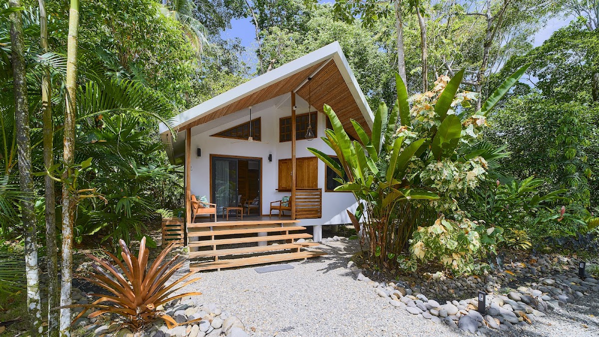 Dragonfly Beach Retreat