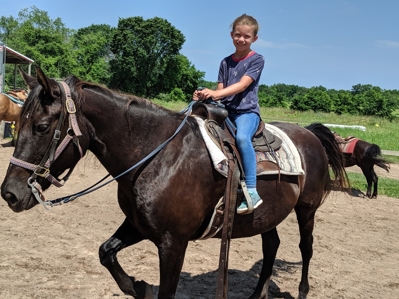 Stony Lake Stables 4