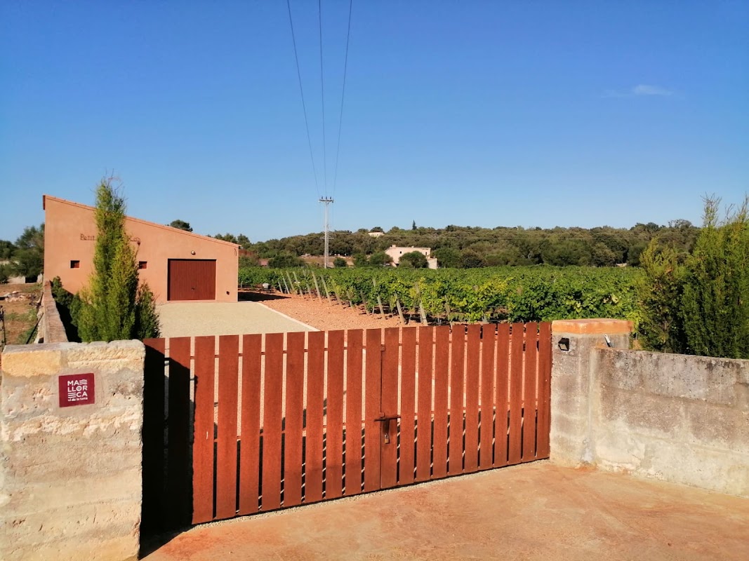 Petit Celler es Cós