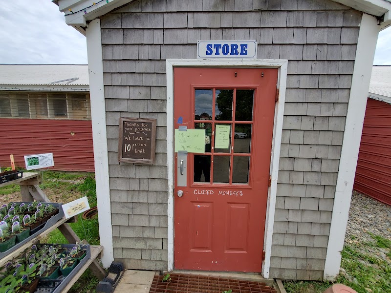 Sheepscot General Store and Farm photo 1