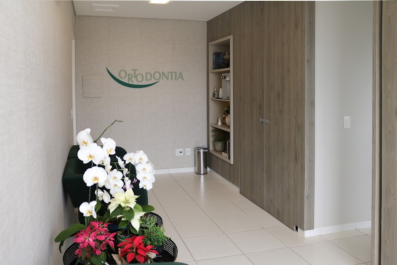 Clínica Odontológica com foco em Ortodontia- Invisalign Dra Mariângela Terra Nogueira e Dra Isabela Nogueira Milesi - foto 2