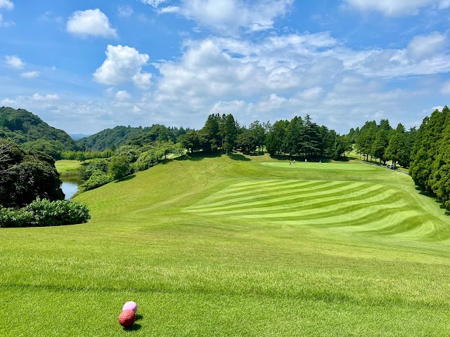 Daichiba Country Club - Photo 3