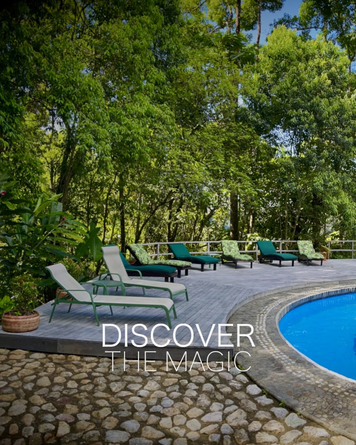 Luna Lodge Ecolodge & Wellness Center / Yoga Retreat — 4