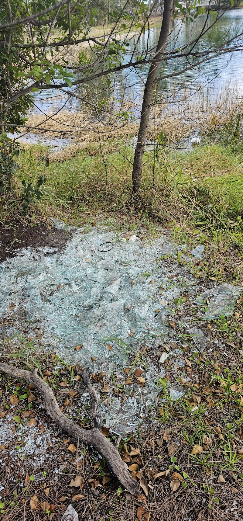 Amelia Earhart Park Disc Golf Course photo 3