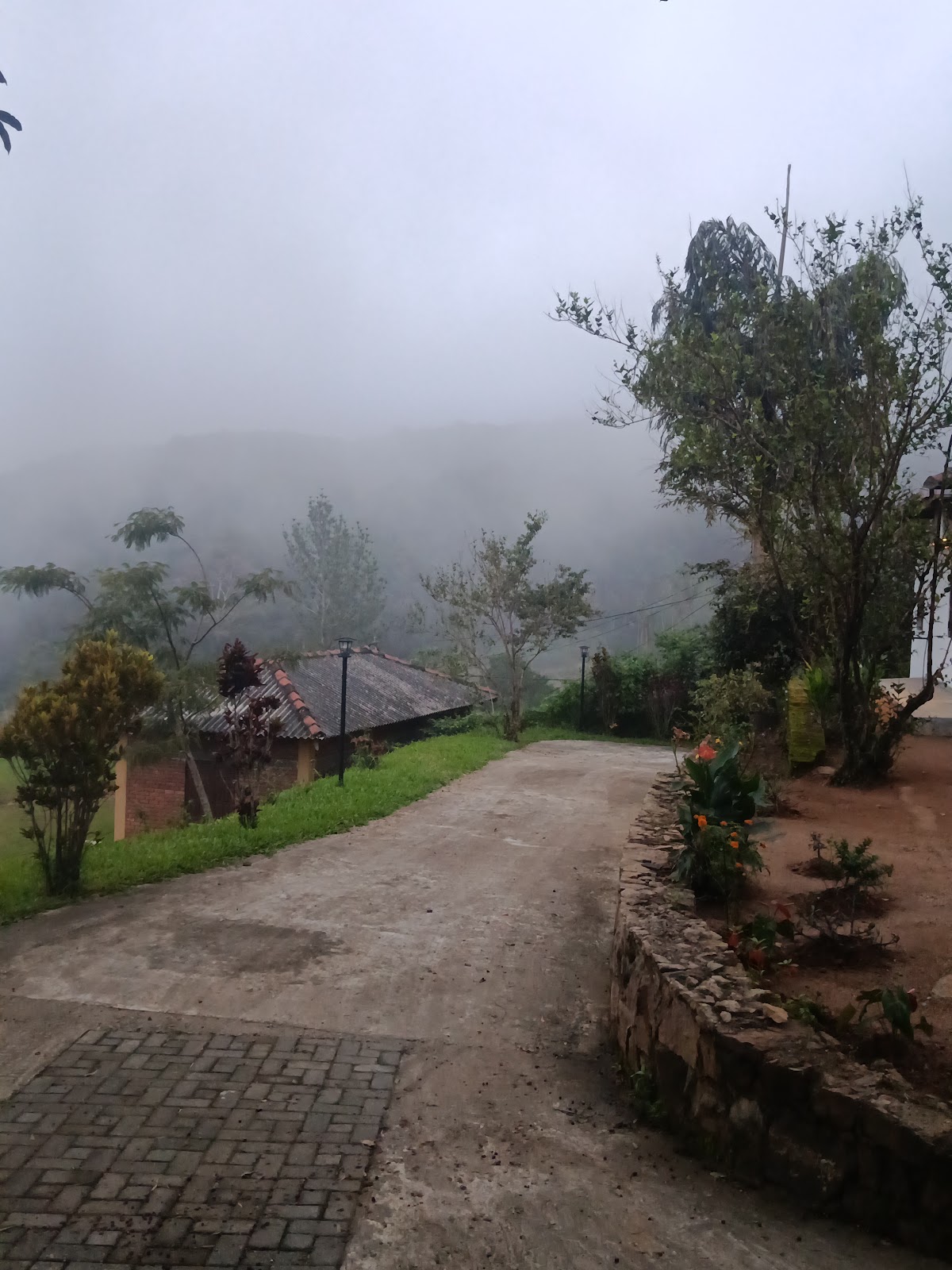 The Nisala Foundation - Center for Nisala Kriya Yoga — 4