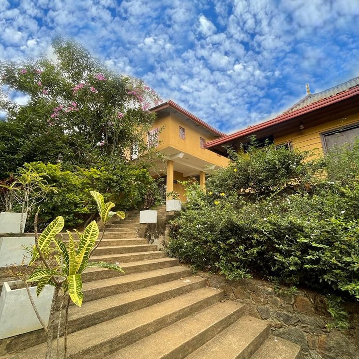 The Nisala Foundation - Center for Nisala Kriya Yoga — 3