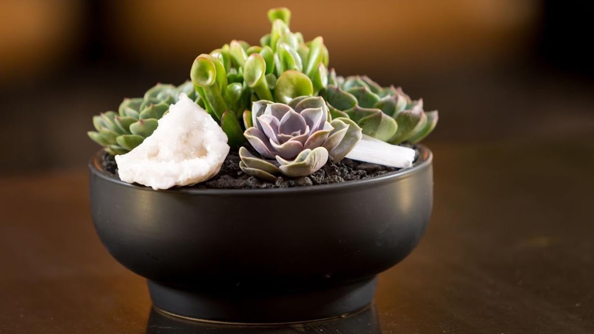 Green Fresh Florals + Plants: Google Places image 2