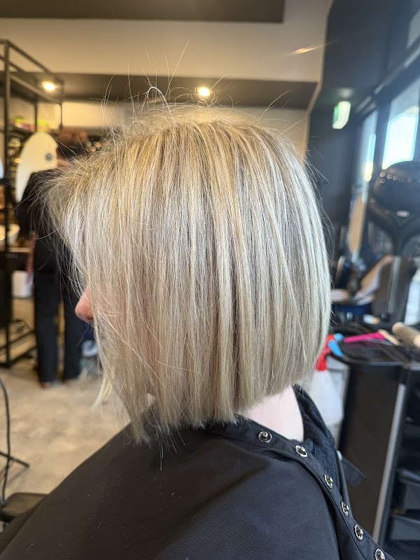 H.ARTsozo salon photo 1