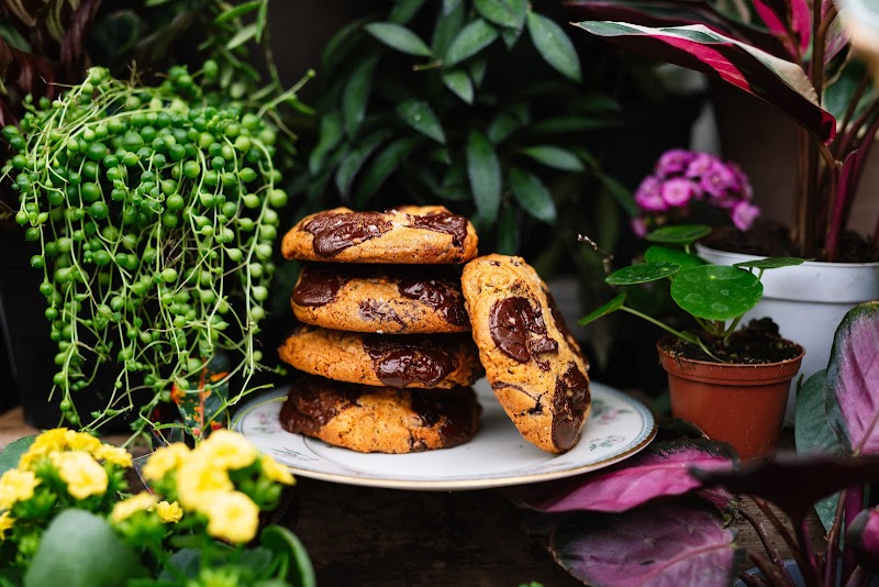 Telva at The Ridge photo 2