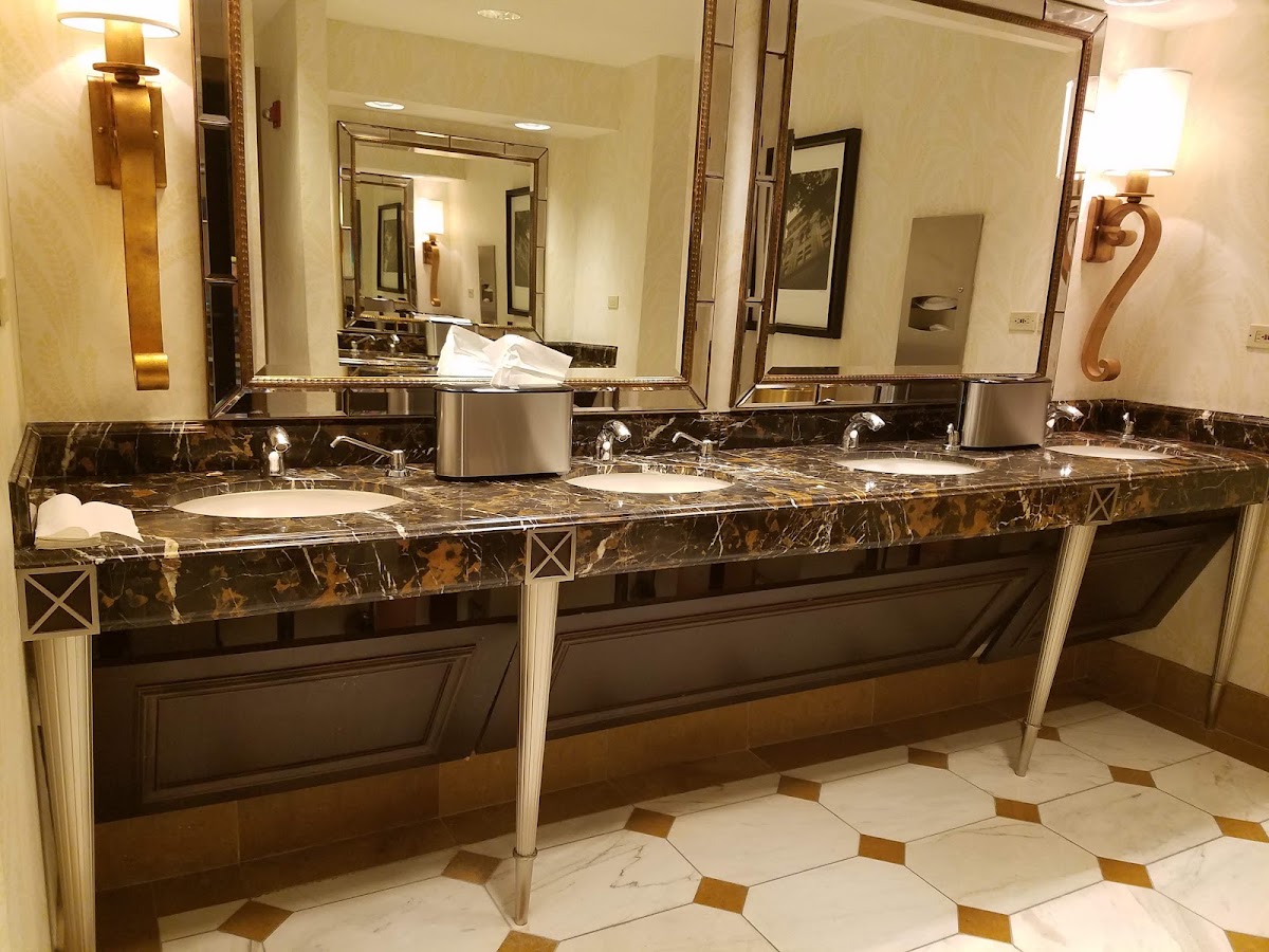 Palmer House Chicago, dog-friendly hotel, photo 3