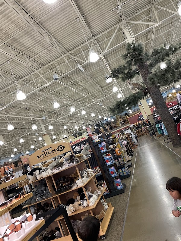 Photo by suhair fadhil