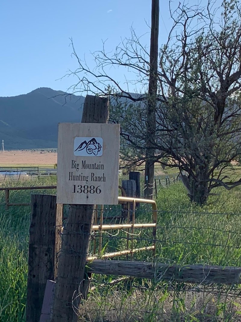 Big Mountain Hunting Ranch - Photo 3