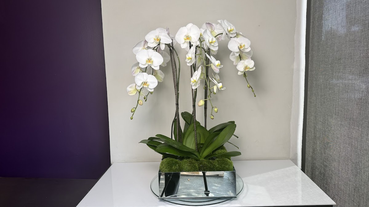 Flowers In Beverly Hills: Google Places image 3