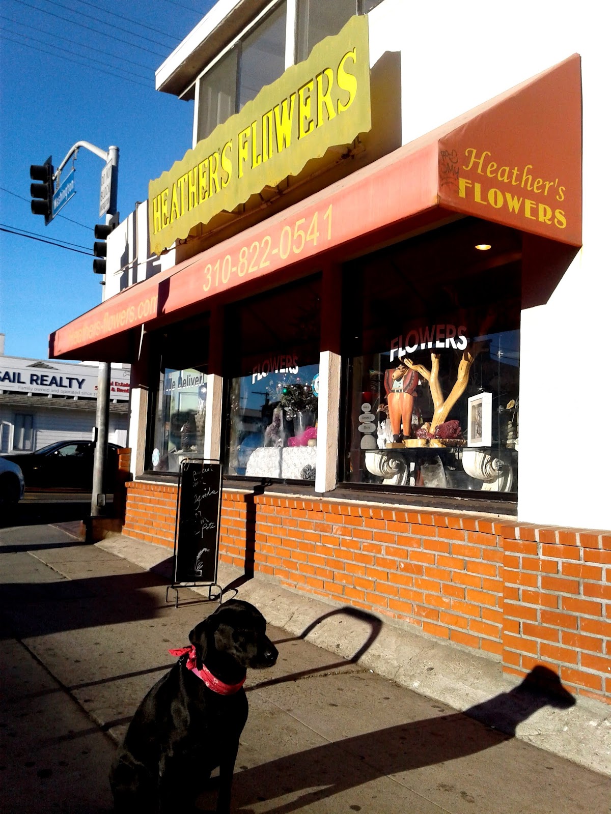 Heather's Flowers: Google Places image 1