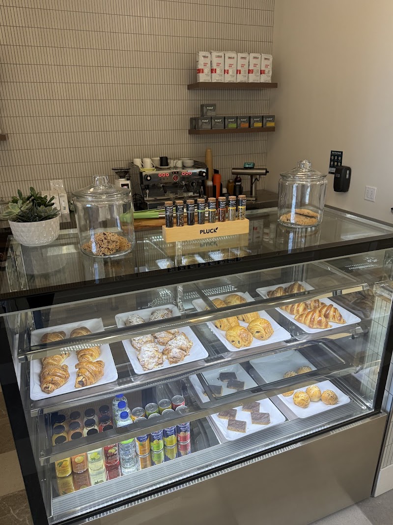 PECish XPRESS Inc. photo 1