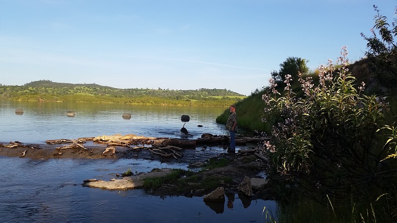 Lake Amador Resort photo 4