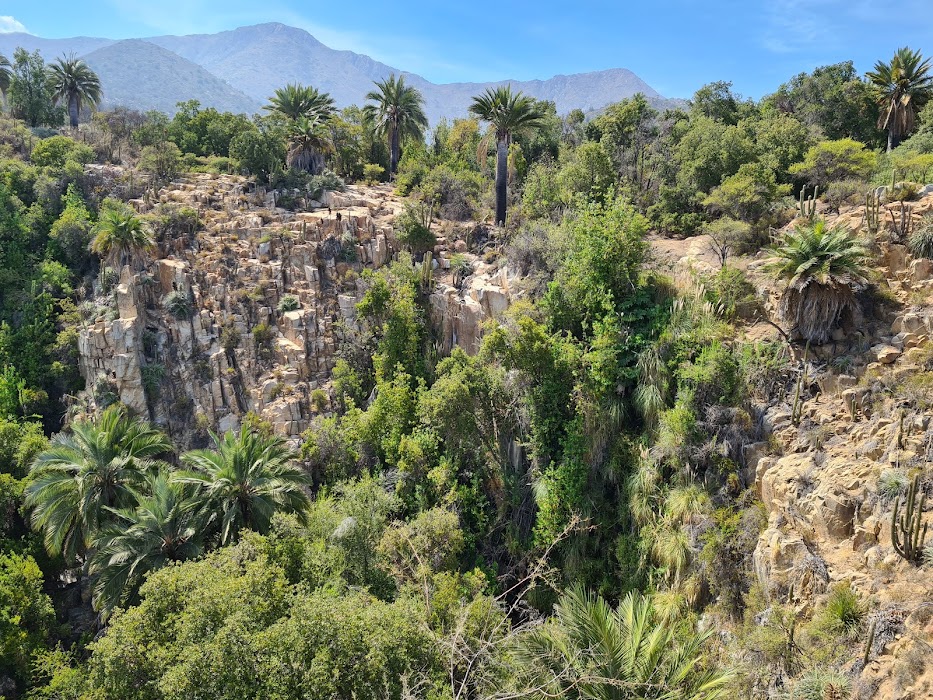 Parque Nacional La Campana fotoğraf 1