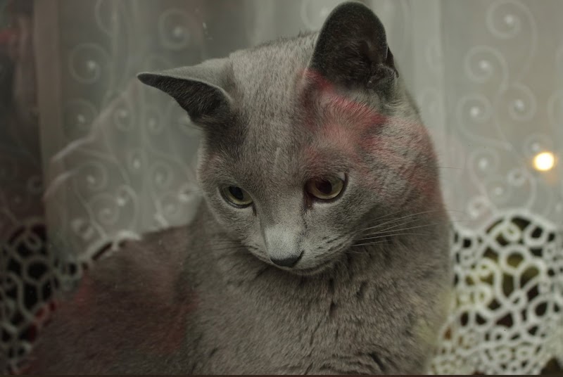 Zdjęcie z Google Maps od<br>Tysia Karo