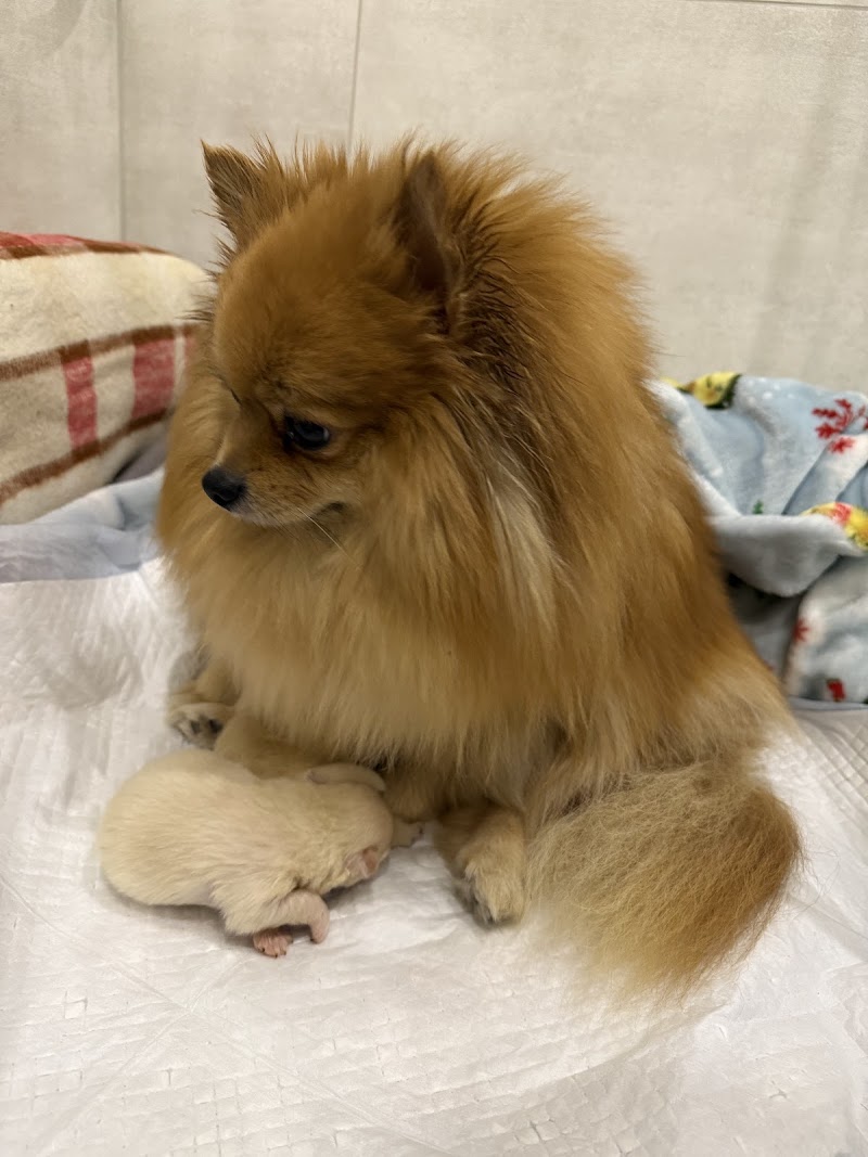 Zdjęcie z Google Maps od<br>Wiktoria