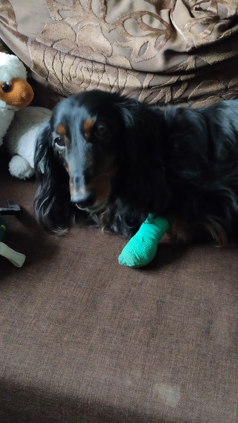 Zdjęcie z Google Maps od<br>Pawel McStock