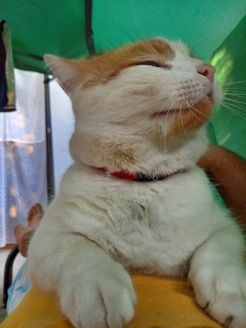 Zdjęcie z Google Maps od<br>Tomasz Rzepecki