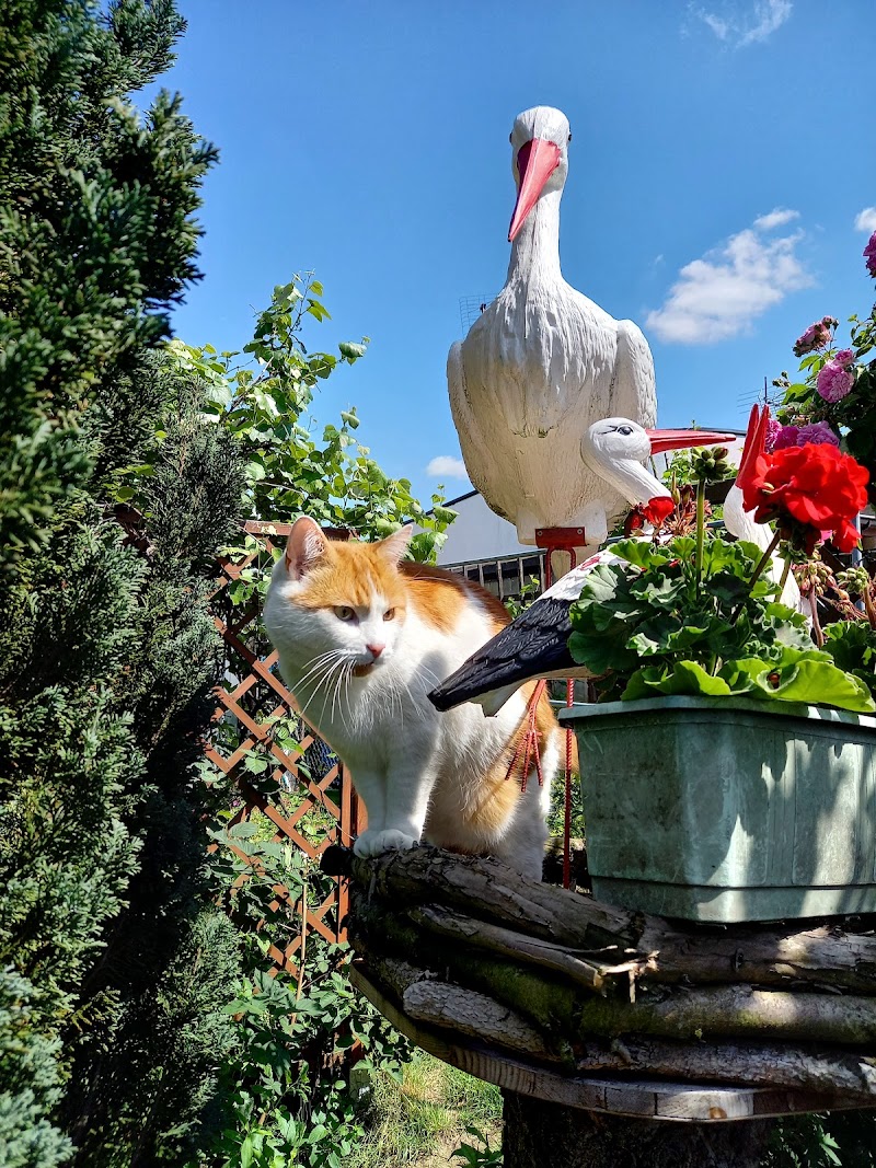 Zdjęcie z Google Maps od<br>Tomasz Rzepecki