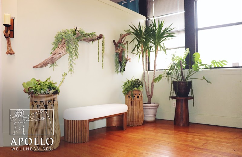 Apollo Wellness Spa