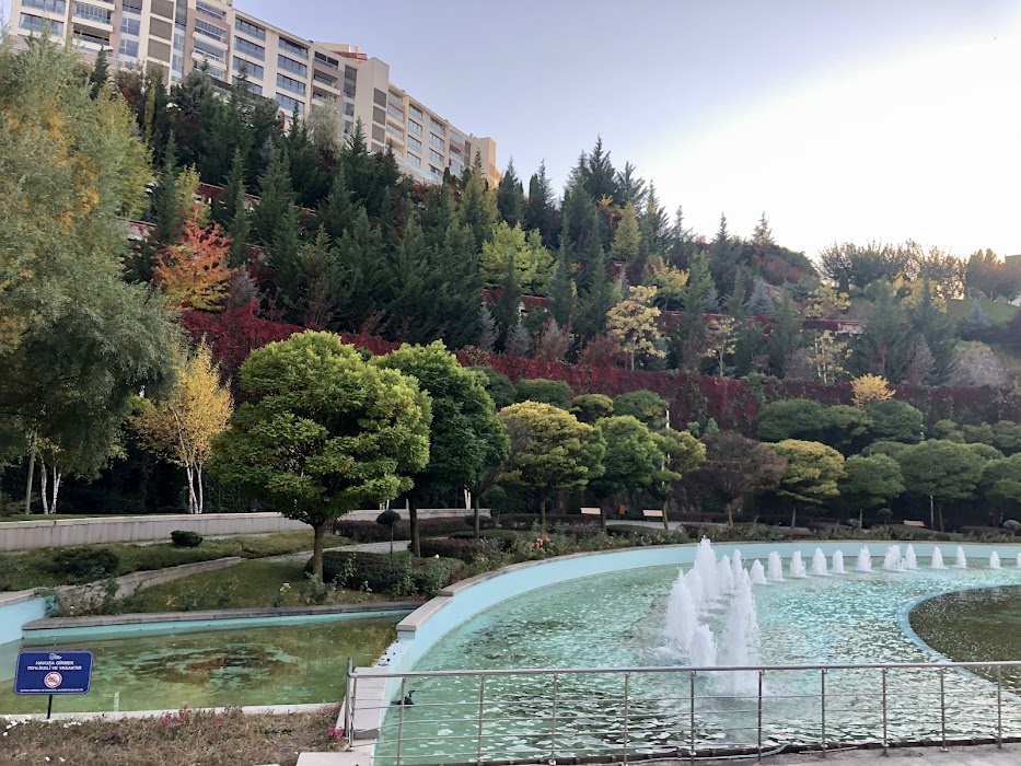 Park Vadi fotoğraf 1