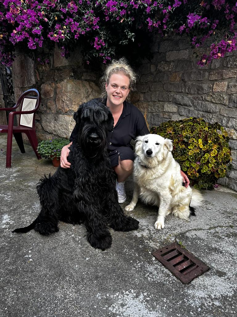 CENTRO VETERINARIO BUELNA