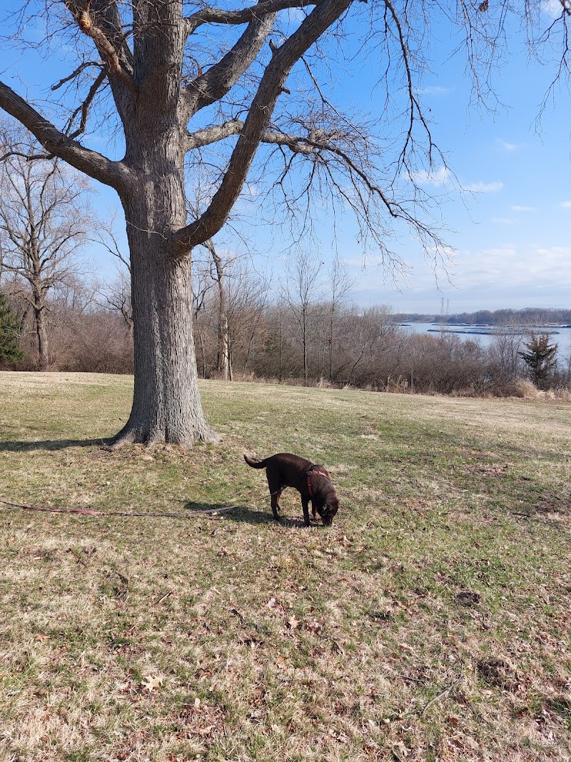 Unger Park Disc Golf Course photo 5