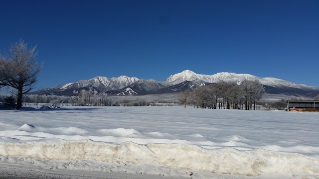 Kiyosato Early Bird Golf Club - Photo 9
