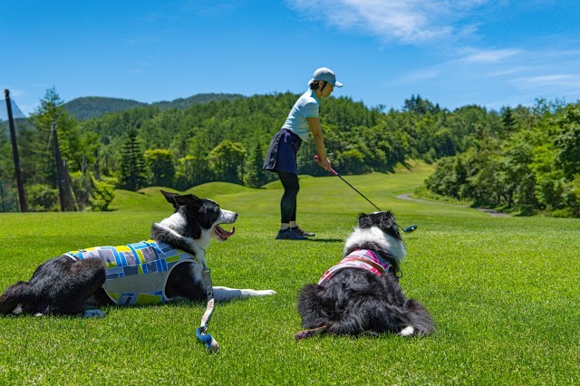 Kiyosato Early Bird Golf Club - Photo 7