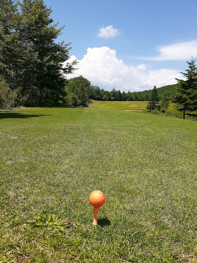 Kiyosato Early Bird Golf Club - Photo 10
