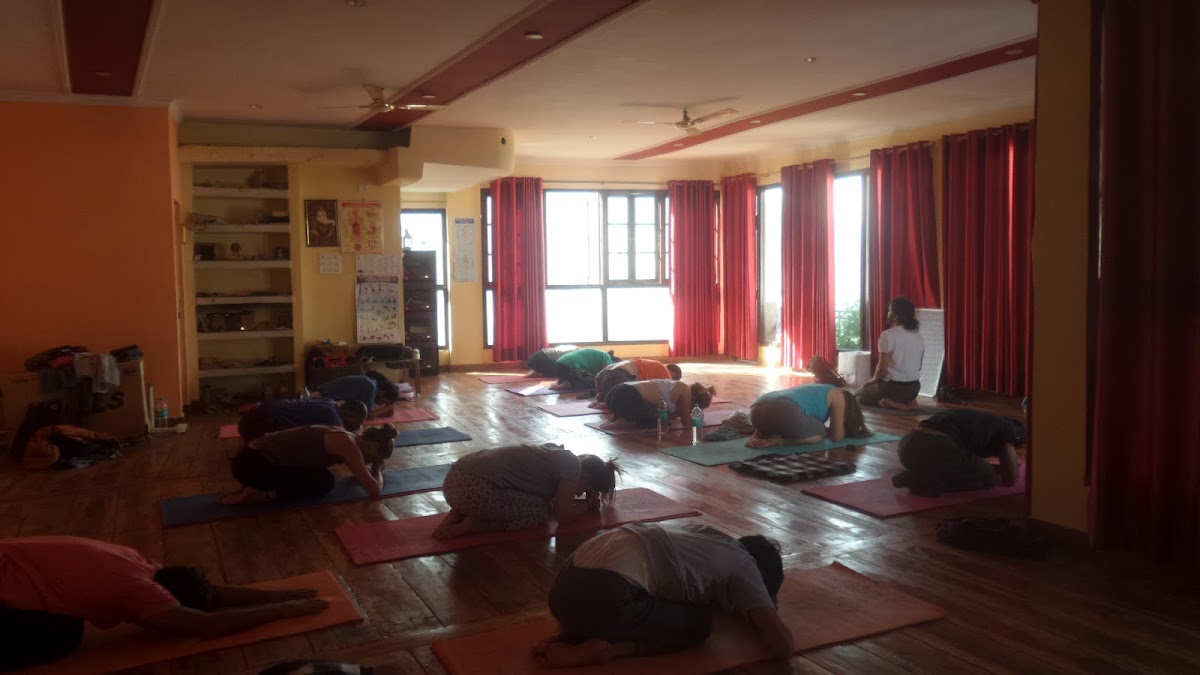 Anant Yoga - Breath work master, Yoga Teacher Training in Rishikesh, India — 4