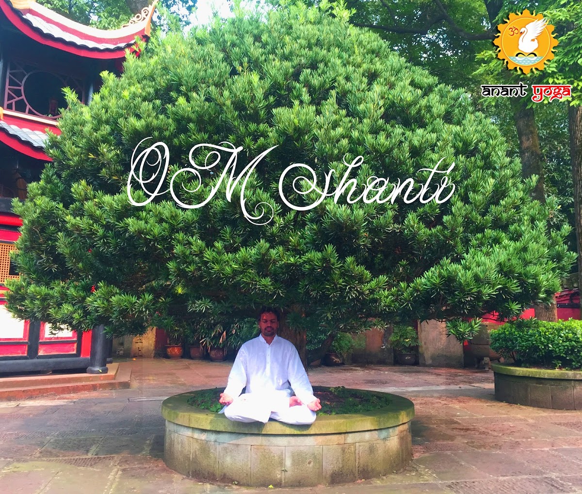 Anant Yoga - Breath work master, Yoga Teacher Training in Rishikesh, India