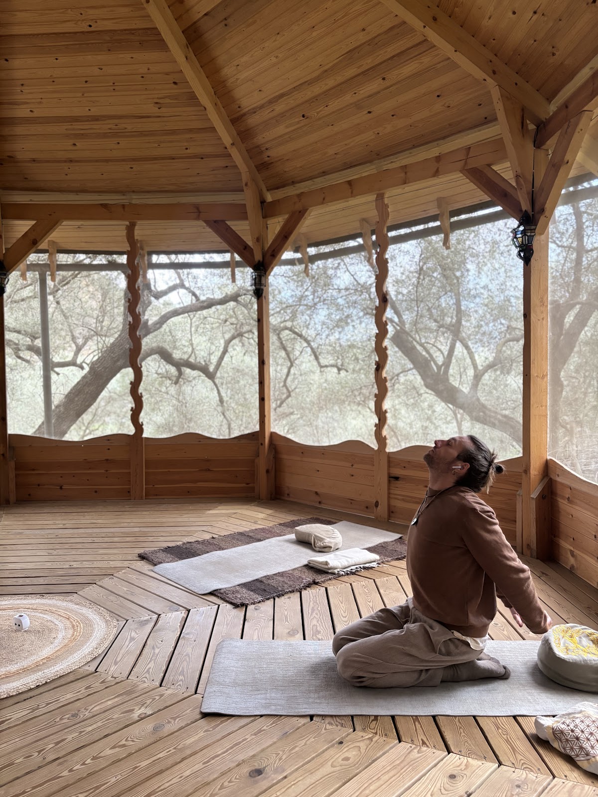 Ananda Forest — 3