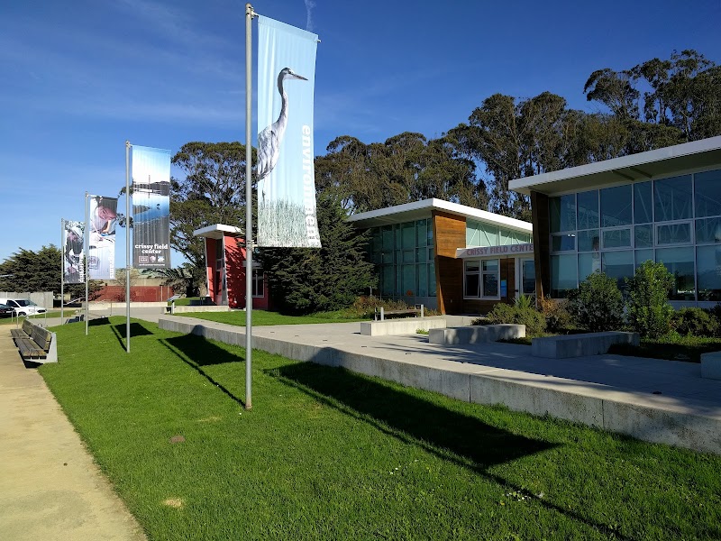 Multiple Indoor and Outdoor Activity Areas