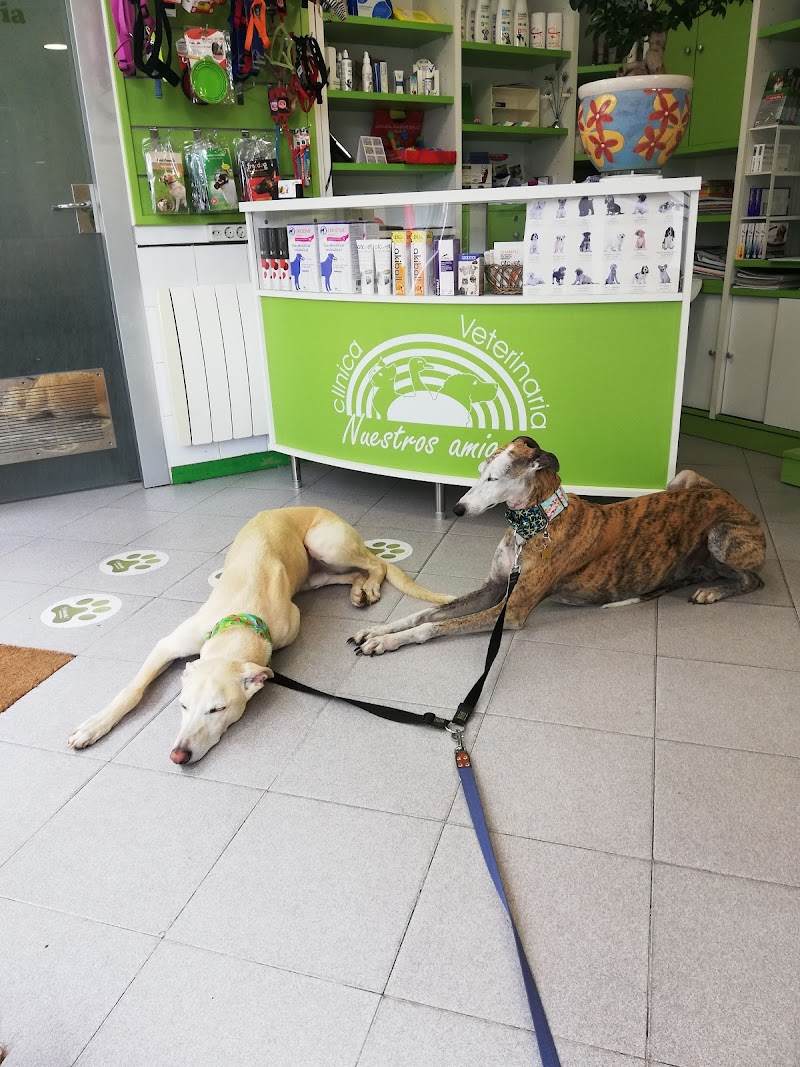 Nuestros Amigos photo 4