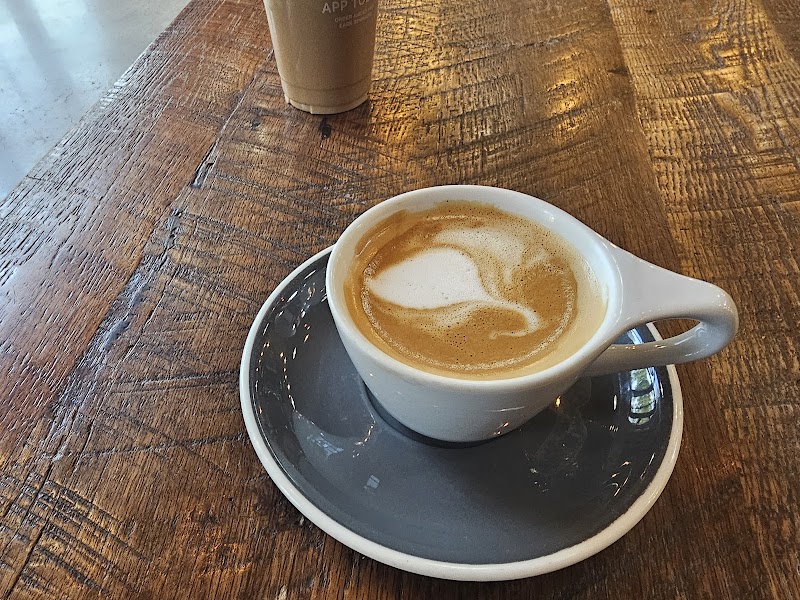 Foxtail Coffee - Winter Park photo 2