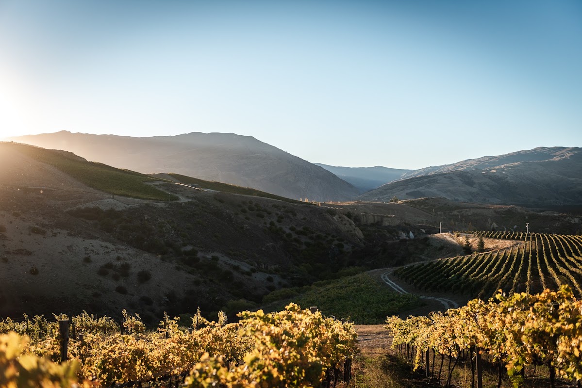 Mt Difficulty Wines
