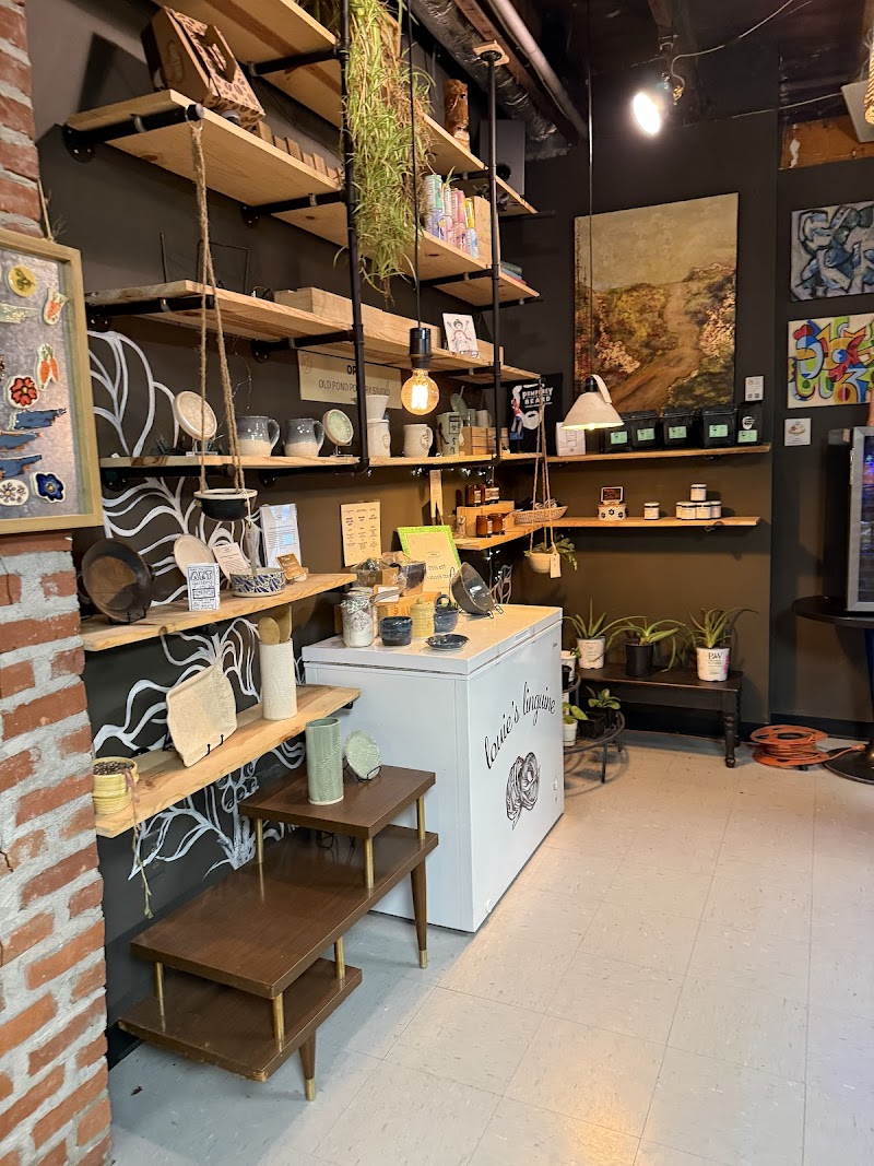 Pumphrey and Beard Coffee Company photo 4