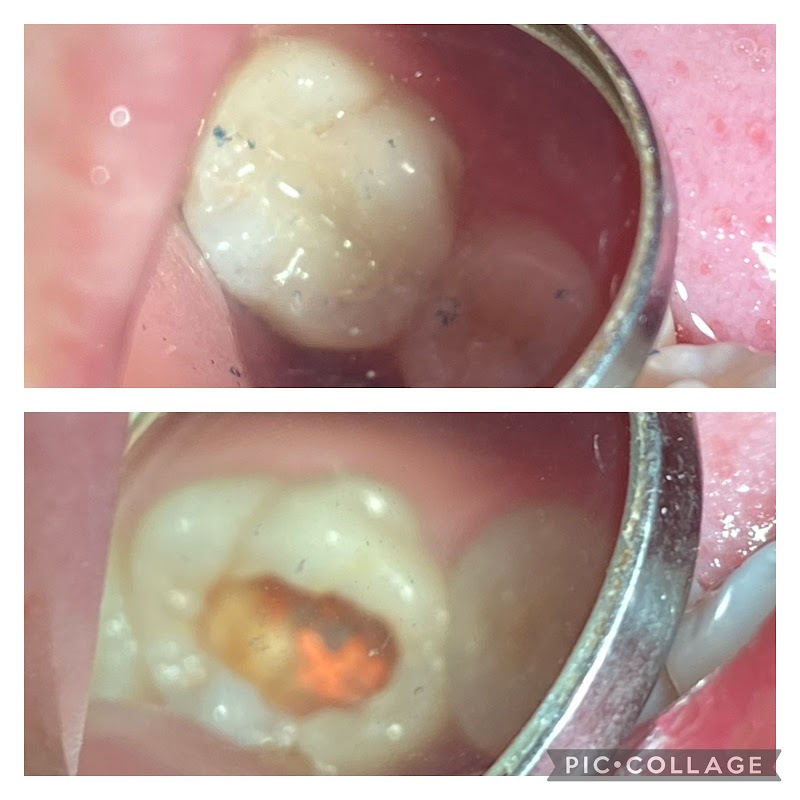 Dra.Aline Navarro - foto 5