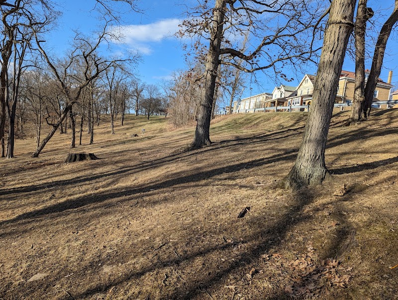 Phillips Park photo 3