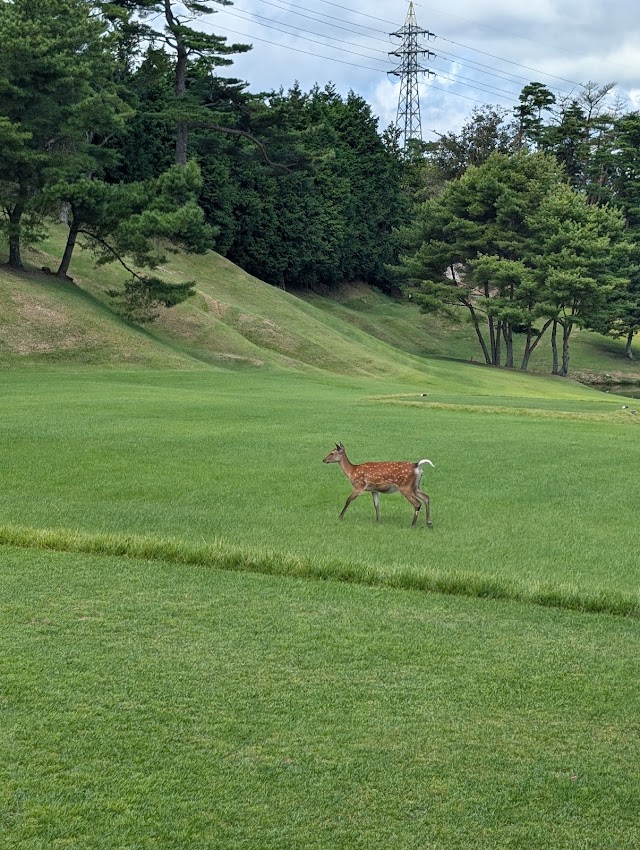 Ibaraki Kogen Country Club - Photo 6