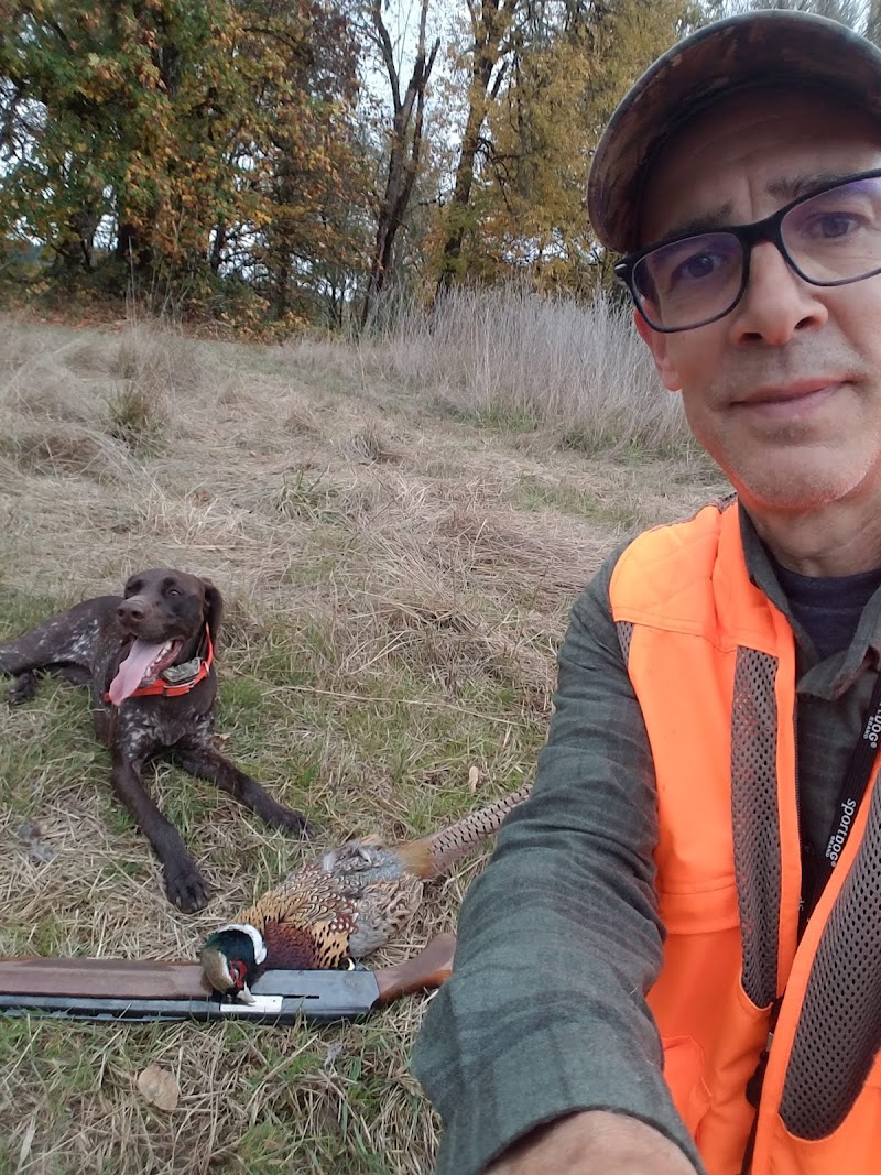 Luckiamute Valley Pheasants - Photo 5