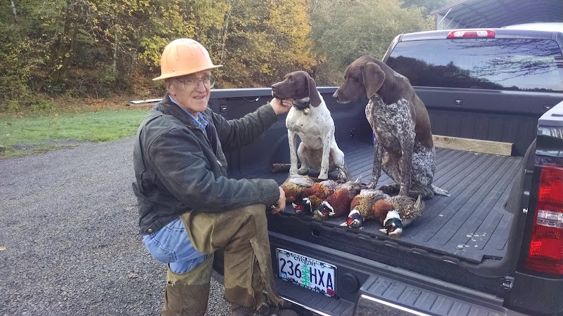 Luckiamute Valley Pheasants - Photo 3