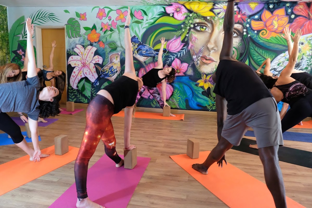 Flying Tree Yoga — 3