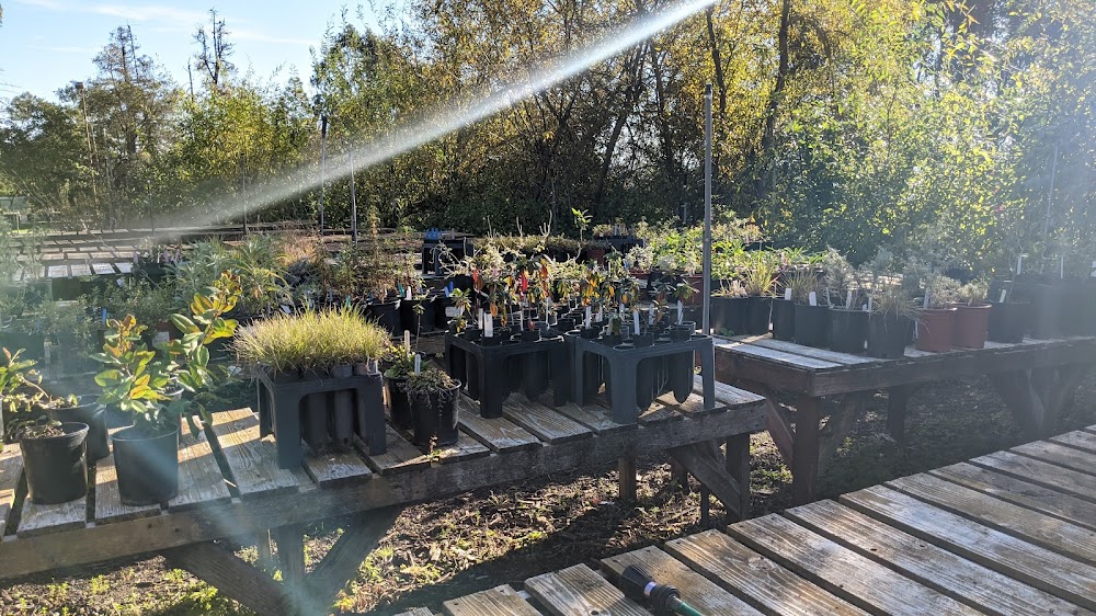 Friends of Sausal Creek Native Plant Nursery